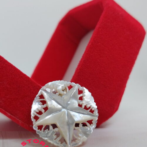 Mother of pearl handmade brooch star bevel